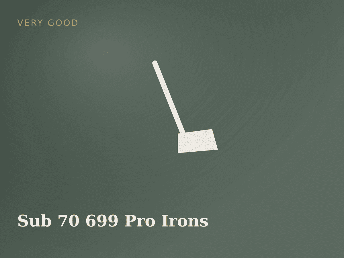 Sub 70 699 Pro Irons 5-PW Stiff Flex photo 1