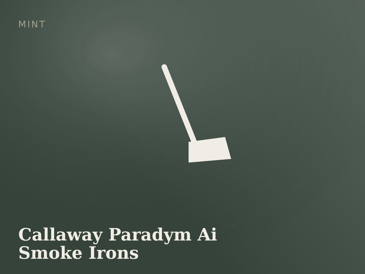 Callaway Paradym Ai Smoke Irons 4-PW Regular Flex photo 1